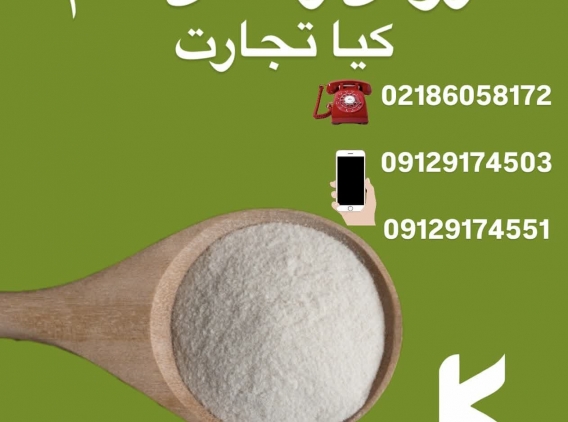 contents_tab/21744194623.jpg