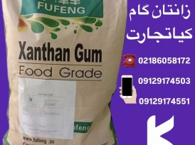 فروش زانتان گام