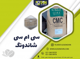 سی ام سی شاندونگ