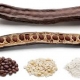 لوکاست بین گام    Locust bean gum