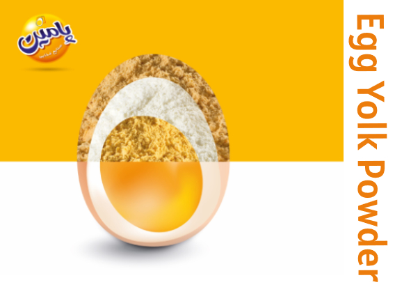 پودر زرده تخم مرغ