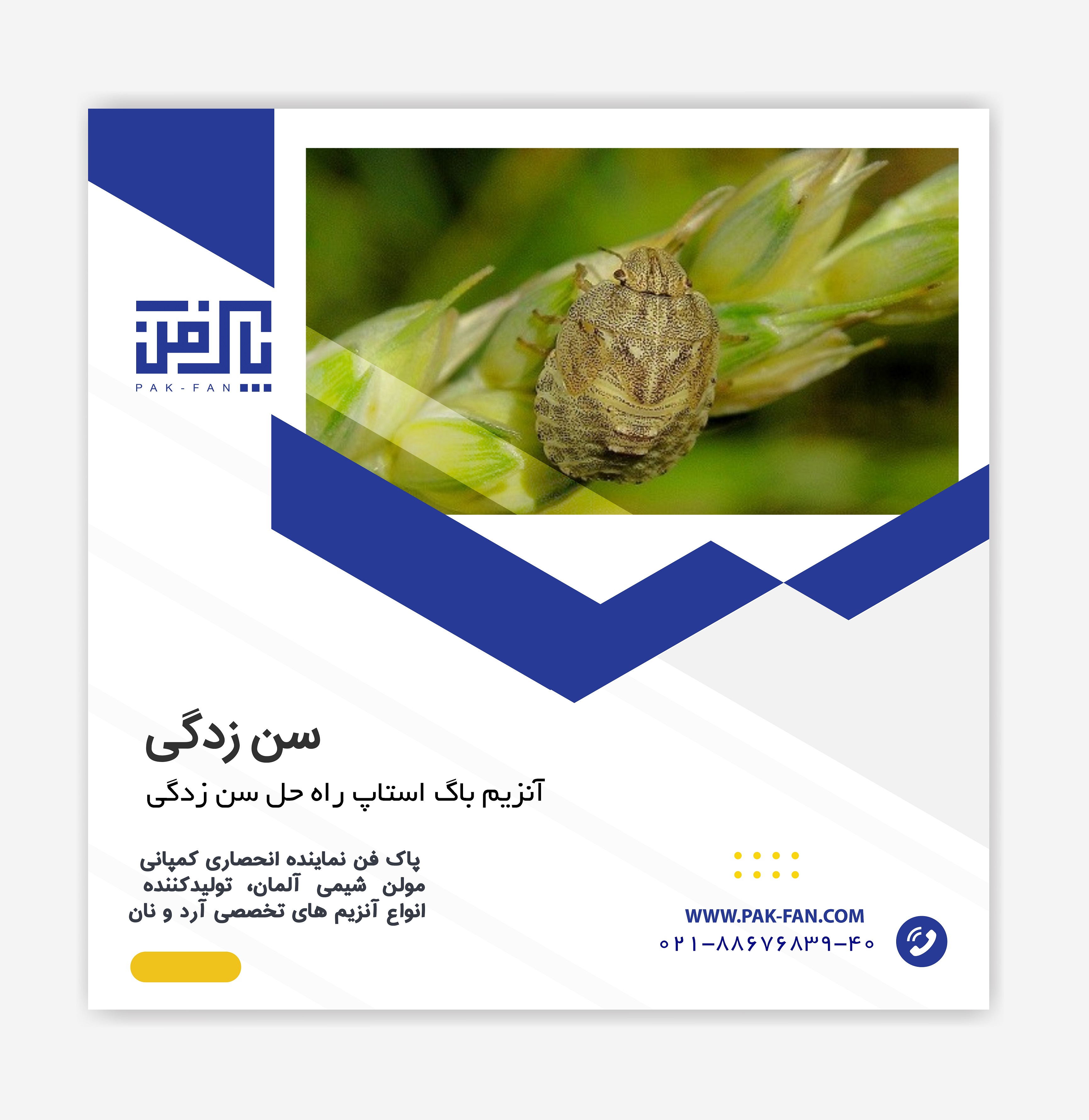 آنزیم باگ استاپ راه حل سن زدگی گندم EMCEBESTbugstop