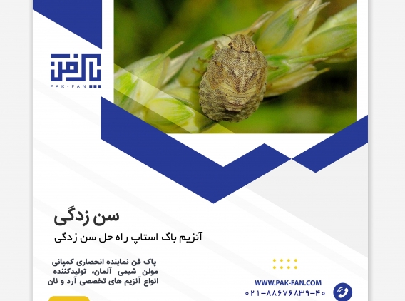contents_tab/cover1759558451.jpg